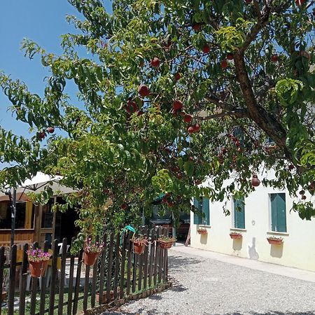 מירה Appartamento Malcontenta מראה חיצוני תמונה